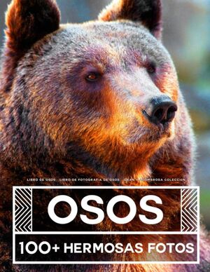 LIBRO DE FOTOGRAFÍA DE OSOS