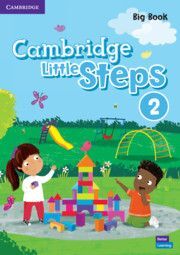 LITTLE STEPS 2 BIG BOOK