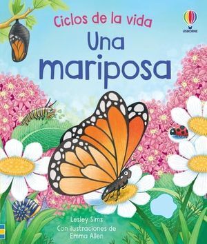 MARIPOSA CICLOS DE VIDA