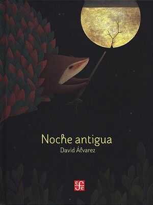 NOCHE ANTIGUA