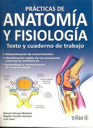 PRÁCTICAS DE ANATOMÍA Y FISIOLOGÍA