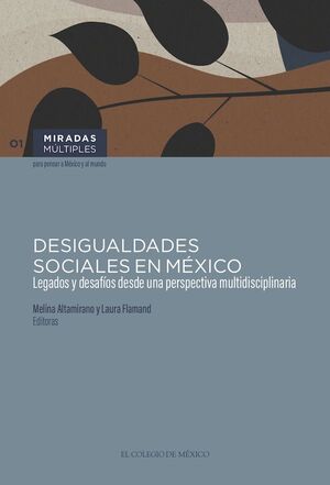 DESIGUALDADES SOCIALES EN MÉXICO