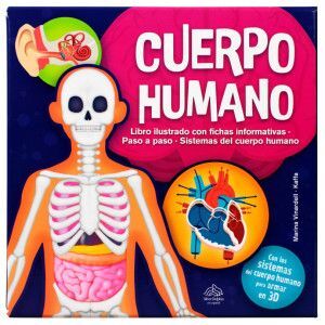 CUERPO HUMANO
