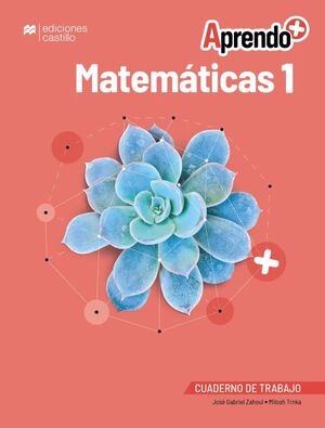 APRENDO + MATEMÁTICAS 1 CUADERNO DE TRABAJO