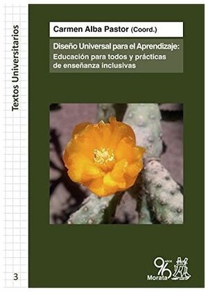DISEÑO UNIVERSAL PARA EL APRENDIZAJE
