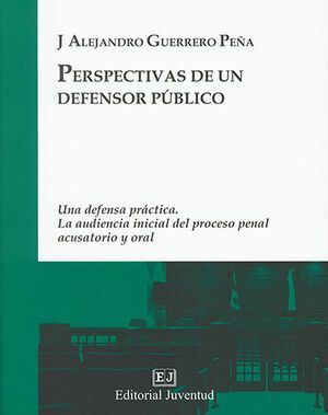 PERSPECTIVAS DE UN DEFENSOR PÚBLICO