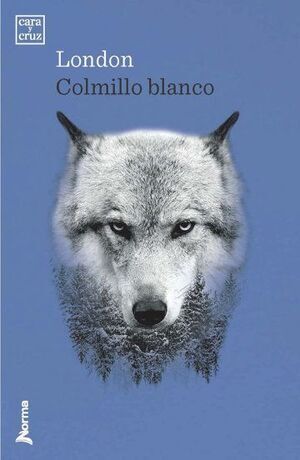 COLMILLO BLANCO