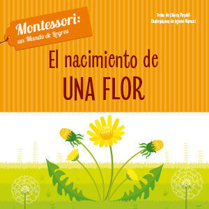 NACIMIENTO DE UNA FLOR, EL