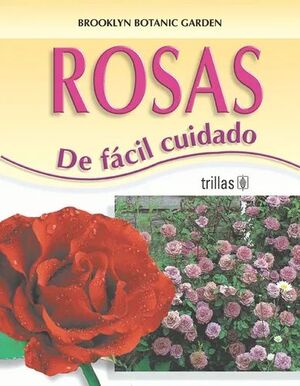ROSAS DE FACÍL CUIDADO